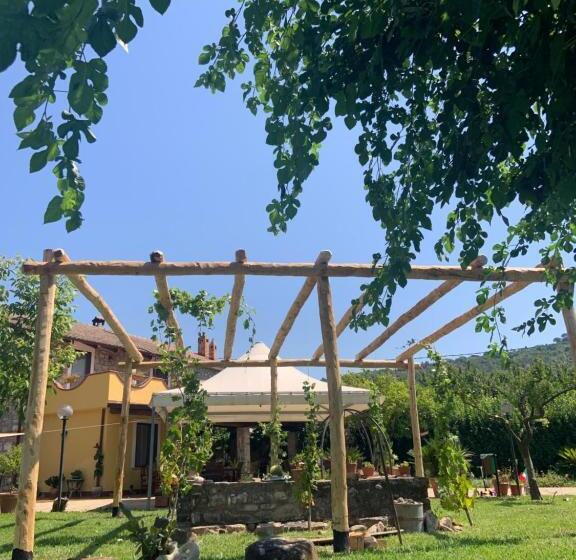 ホテル B&b Panta Rei