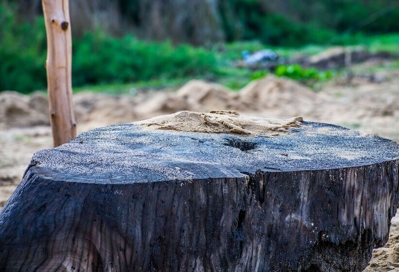 호텔 Omeesha Beach