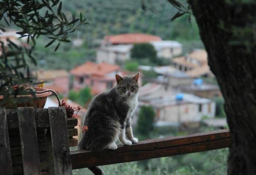 B&b A Casa Di Silvia