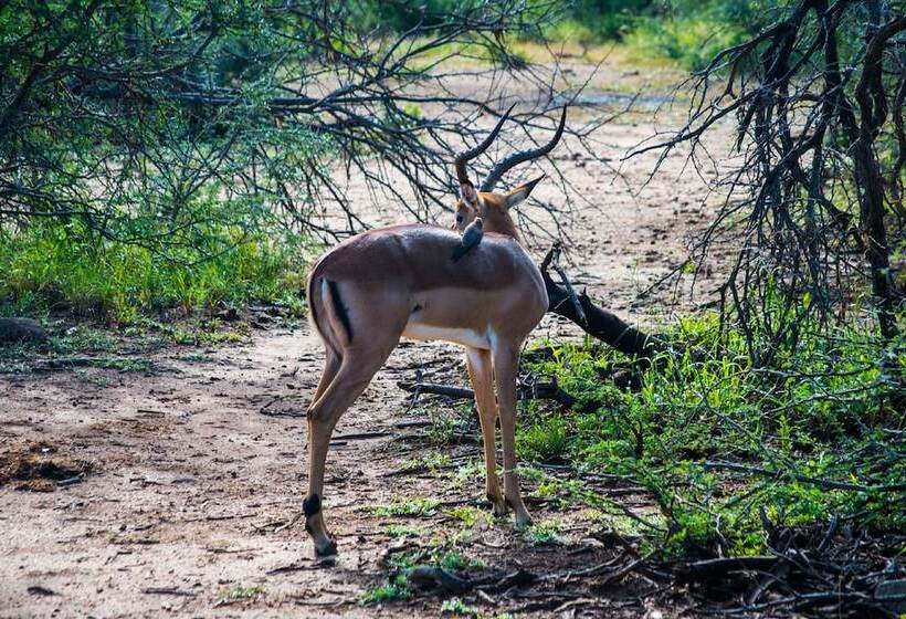 هتل Lush Private Game Lodge