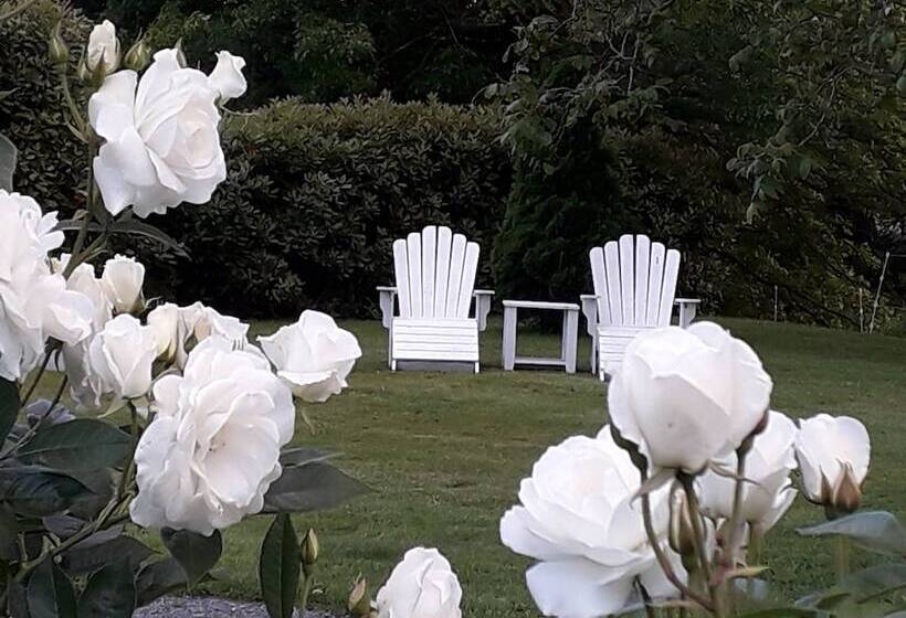 Fotos del hotel Marlborough Bed And Breakfast:  2