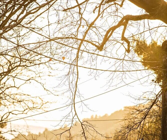 בית מלון כפרי Steni