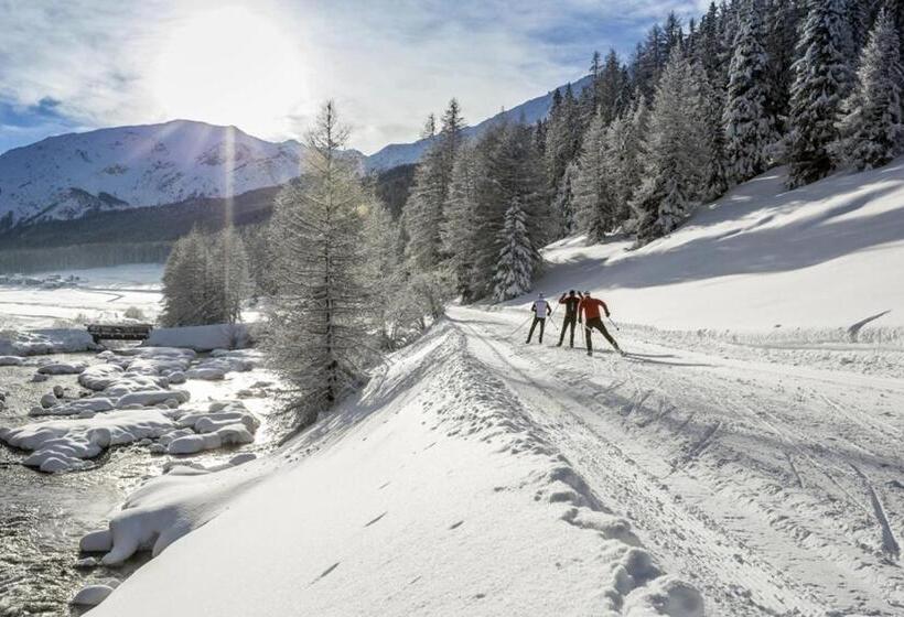 旅馆 Central La Fainera Superior