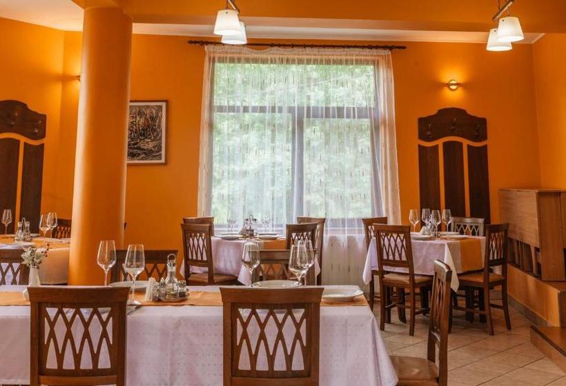 פנסיון Medve Desag Ursul