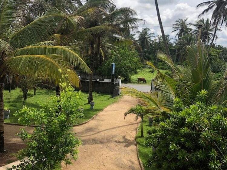 ベッドアンドブレックファースト C J Beach Resort