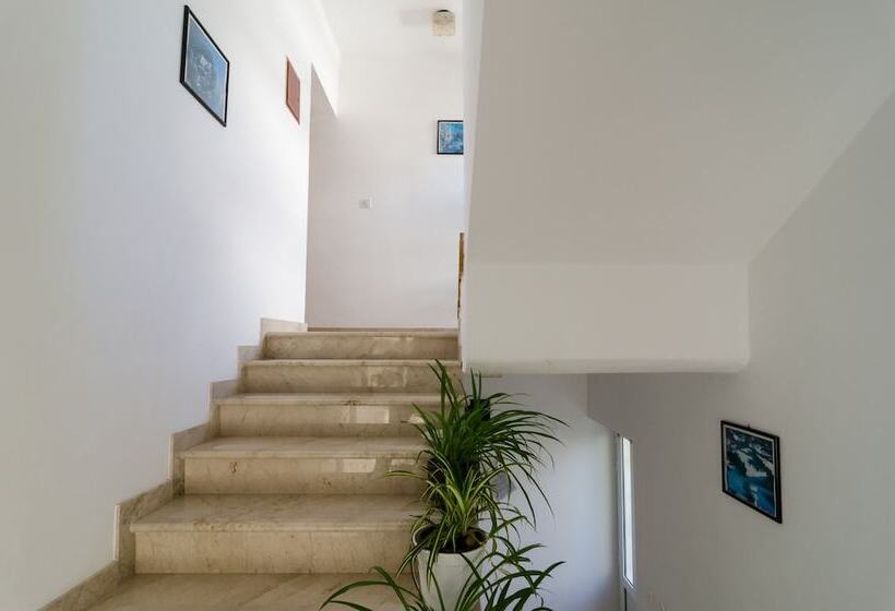 膳宿费 Apartments Palma