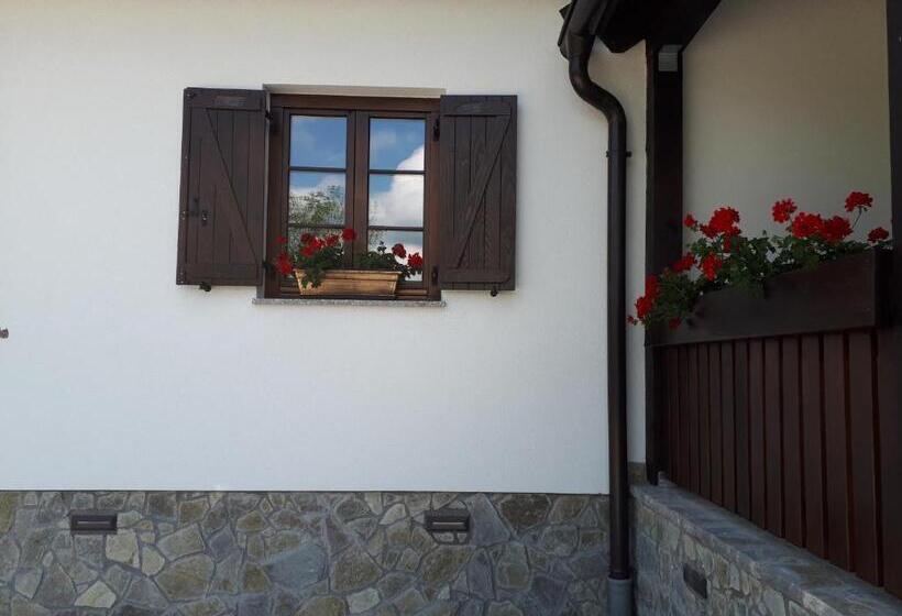 پانسیون House Flora