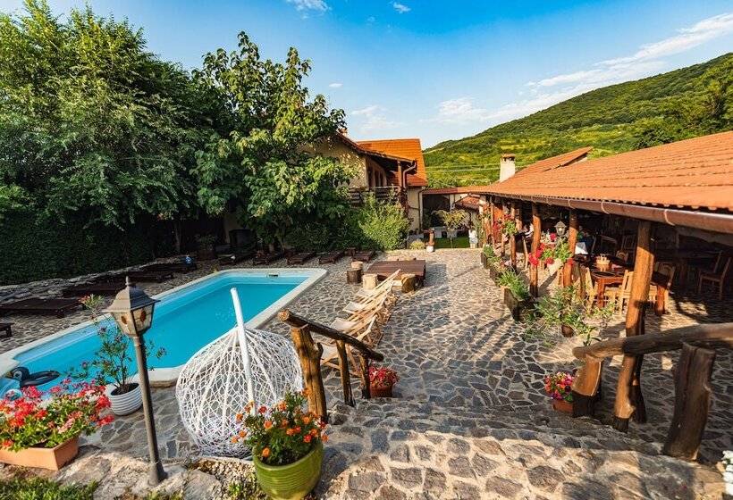 ペンション Casa Dives  Transylvania