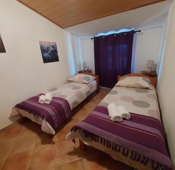 פנסיון Ranch Radin