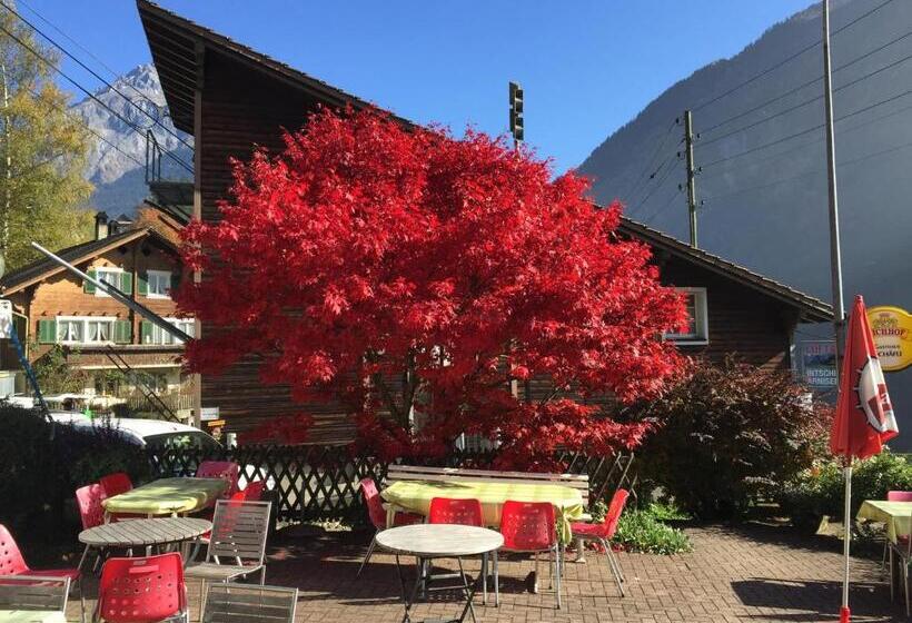 فندق صغير Gästehaus Schäfli