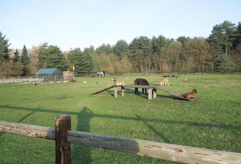 B&b De Kroonhoeve