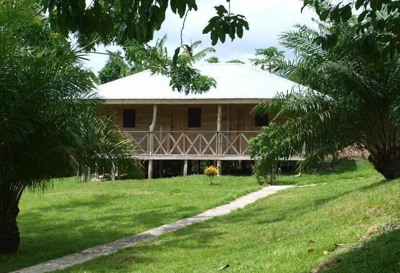 민박 Cocoa Village Guesthouse