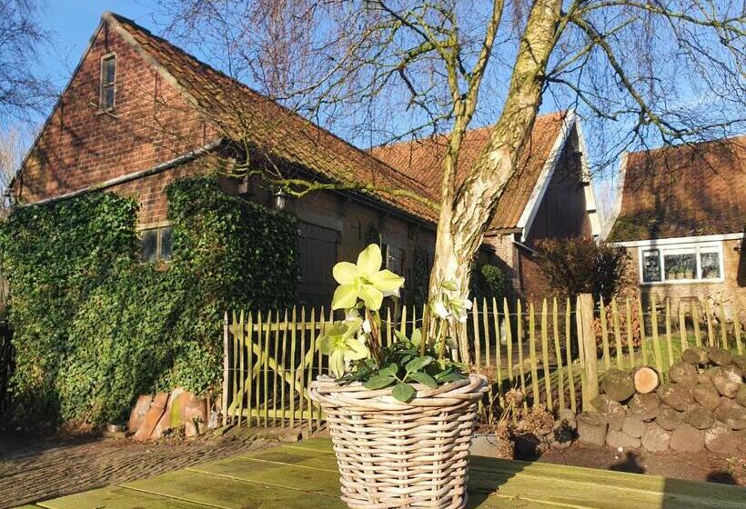 ベッドアンドブレックファースト De Zeeuwsche Hoeve