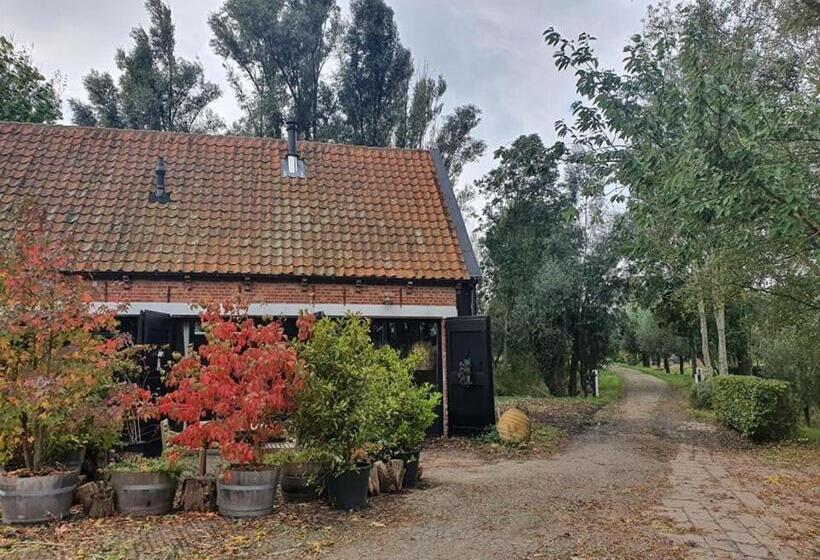 ベッドアンドブレックファースト De Zeeuwsche Hoeve
