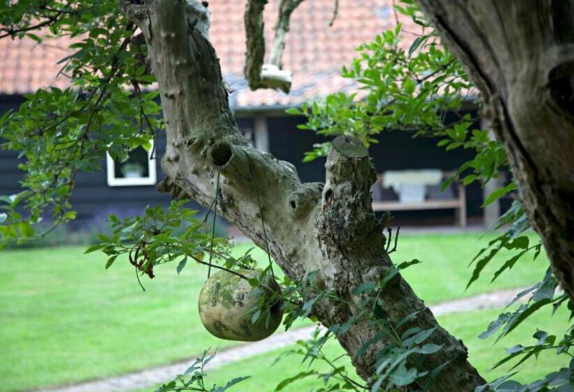 ベッドアンドブレックファースト De Zeeuwsche Hoeve