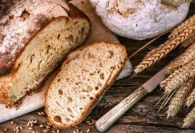 ベッドアンドブレックファースト Het Hart Van Alem