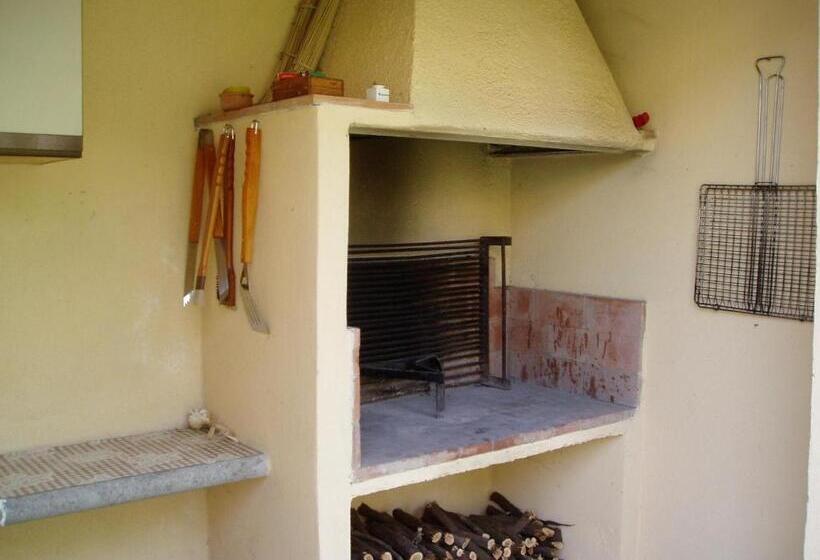 호텔 Agriturismo Podere Micitto