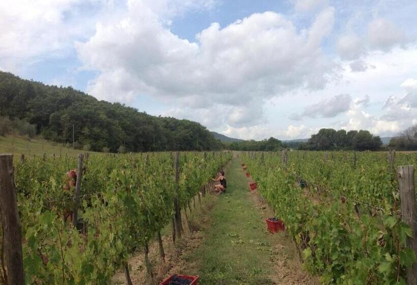 ホテル Agriturismo Podere Mulinaccio