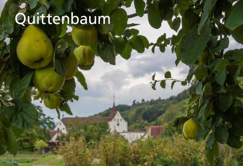 호텔 Kartause Ittingen