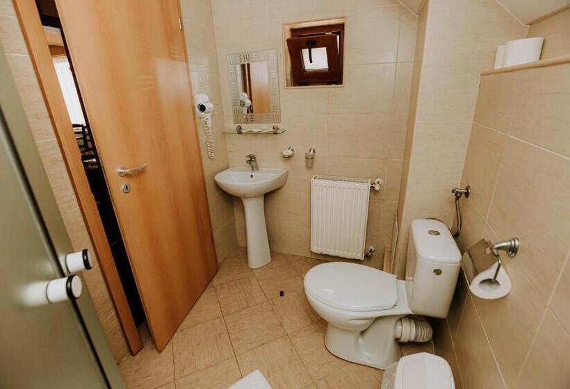 پانسیون Guest House Lacul Linistit