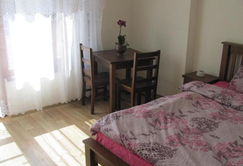 بنسيون Guest House Villa Elma