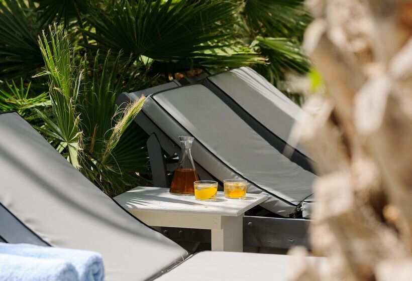 هتل Afroditi Venus Beach Resort