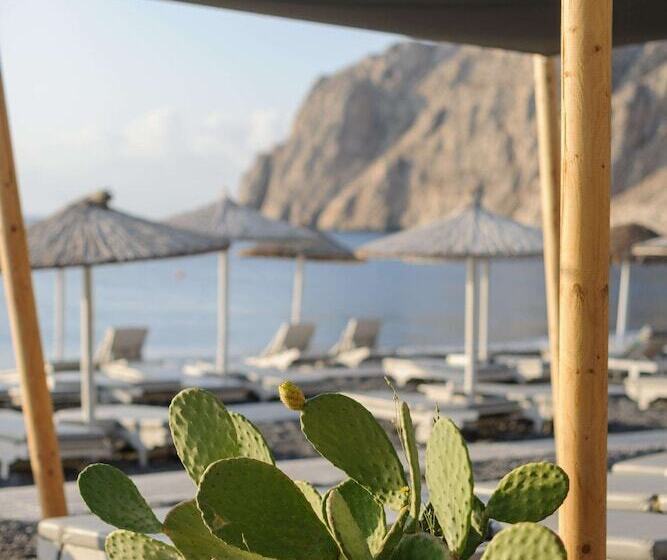 هتل Afroditi Venus Beach Resort
