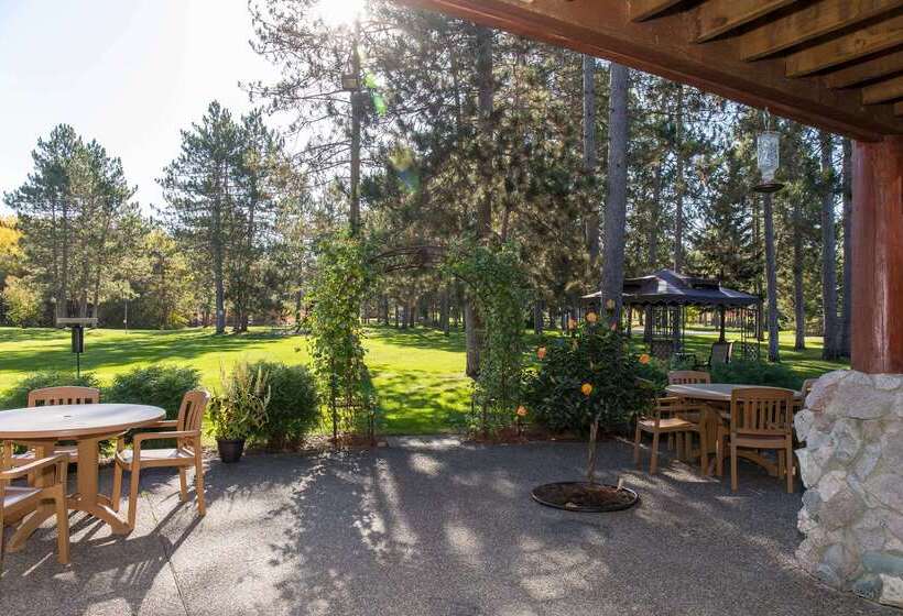 호텔 Americinn By Wyndham Pequot Lakes/jenkins