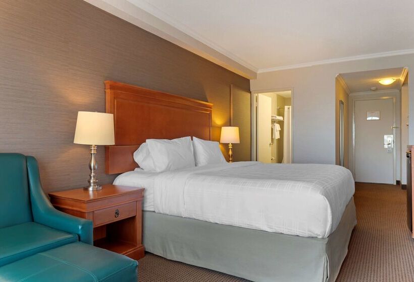 فندق Best Western Plus Gatineauottawa Downtown