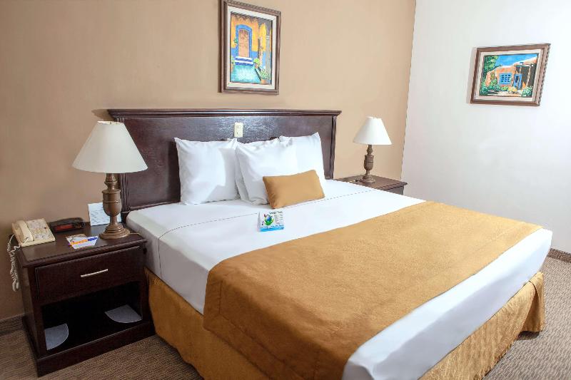 Hotel Best Western  Posada Del Rio Express