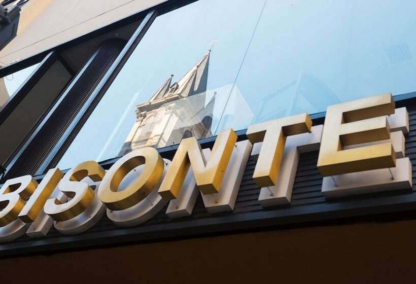 Fotos del hotel Bisonte Libertad:  15