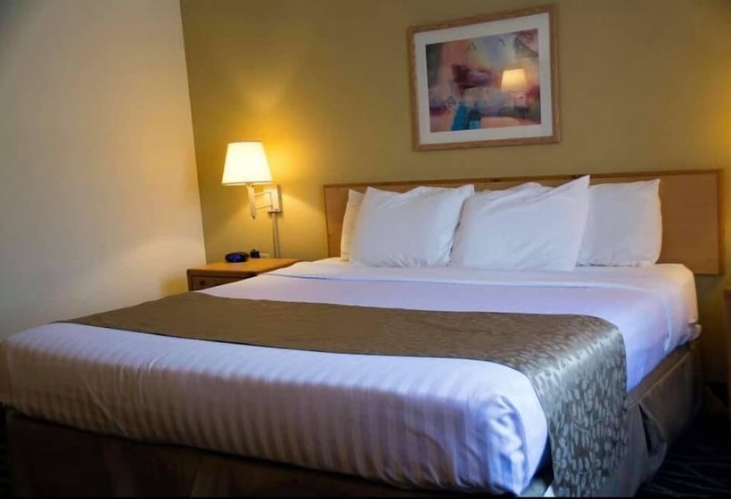 בית מלון כפרי Boarders Inn & Suites By Cobblestone S  Wautoma