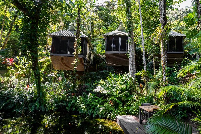 호텔 Daintree Ecolodge