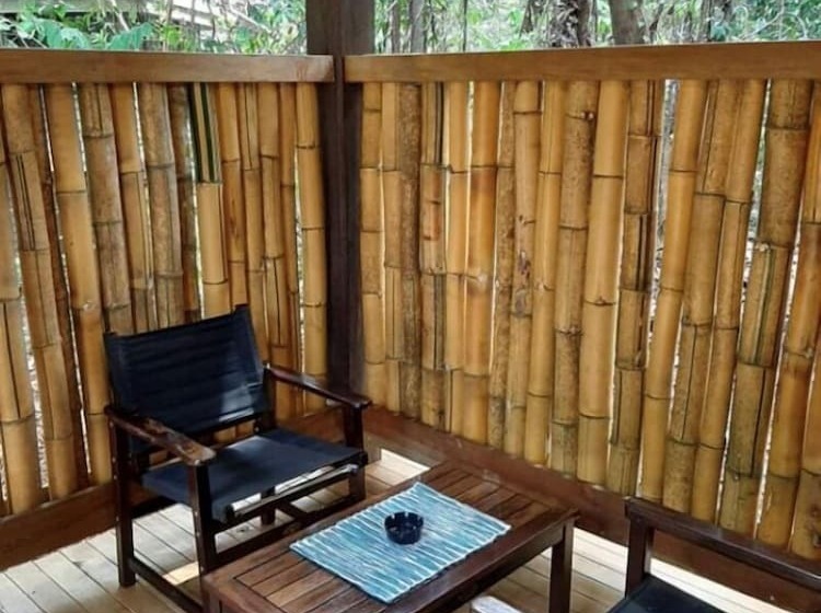 호텔 Ferntree Rainforest
