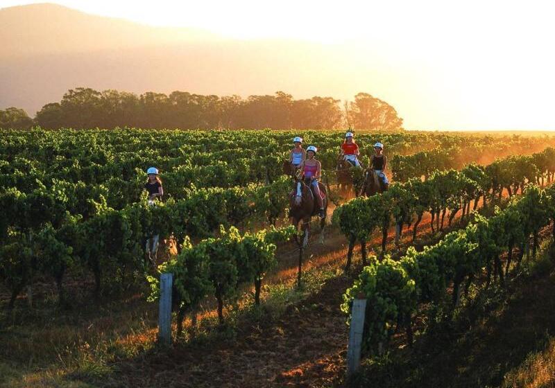 هتل Hunter Valley Resort, Hunter Farm Adventure Centre & 4 Pines At The Farm