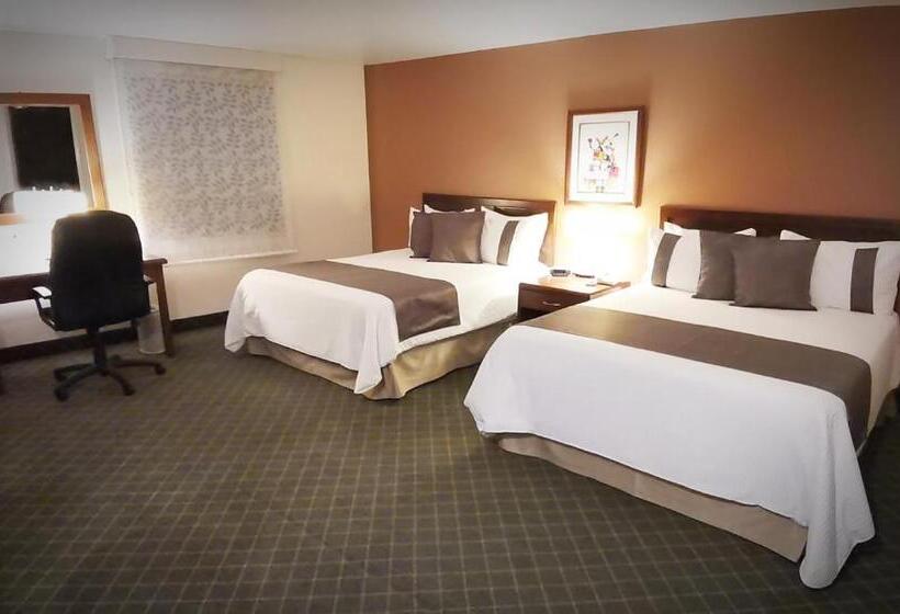 فندق Mision Express Pachuca