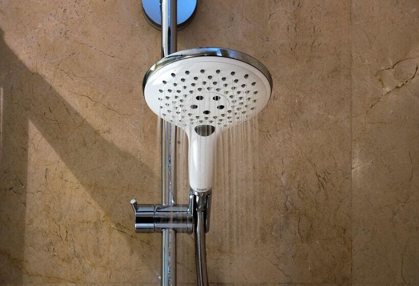 هتل NH Mendoza Cordillera