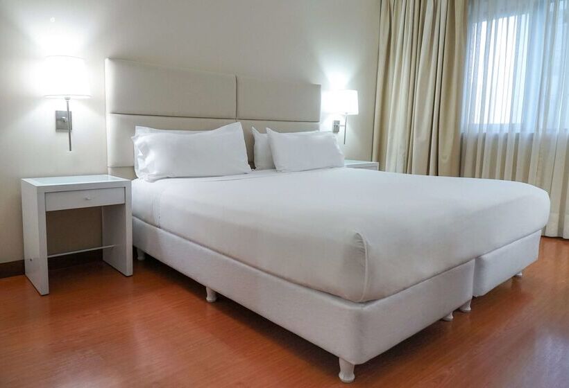 Fotos del hotel Nh Mendoza Cordillera:  4