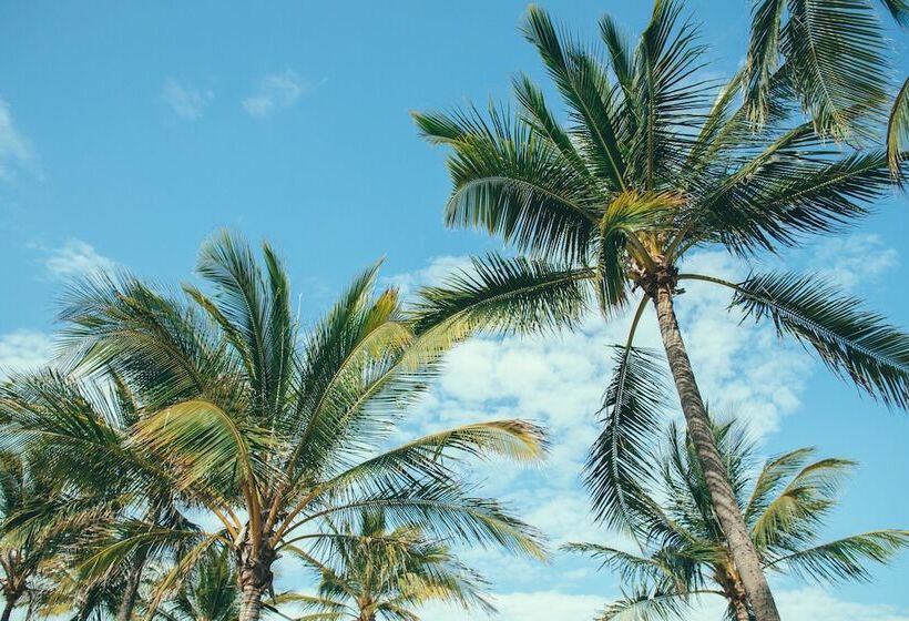 호텔 Nomads Magnetic Island