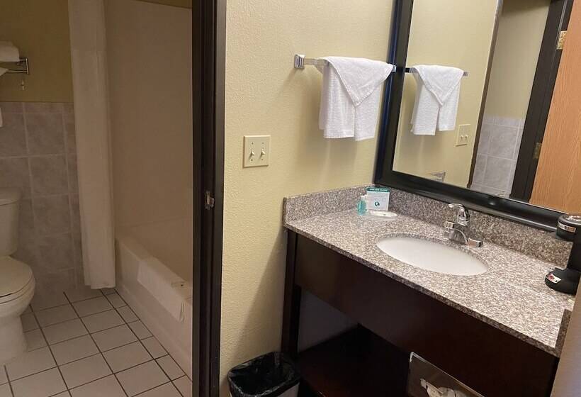 בית מלון כפרי Quality Inn Bolingbrook I 55