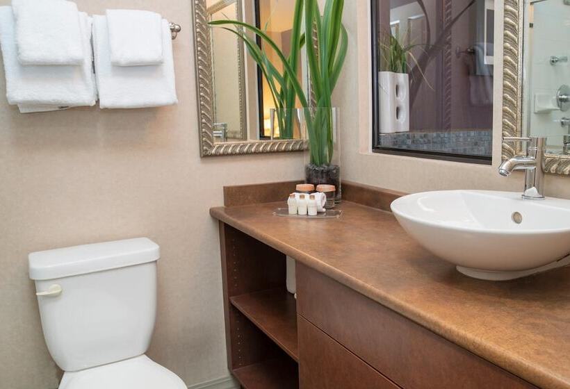 ホテル Sandman Suites Vancouver On Davie