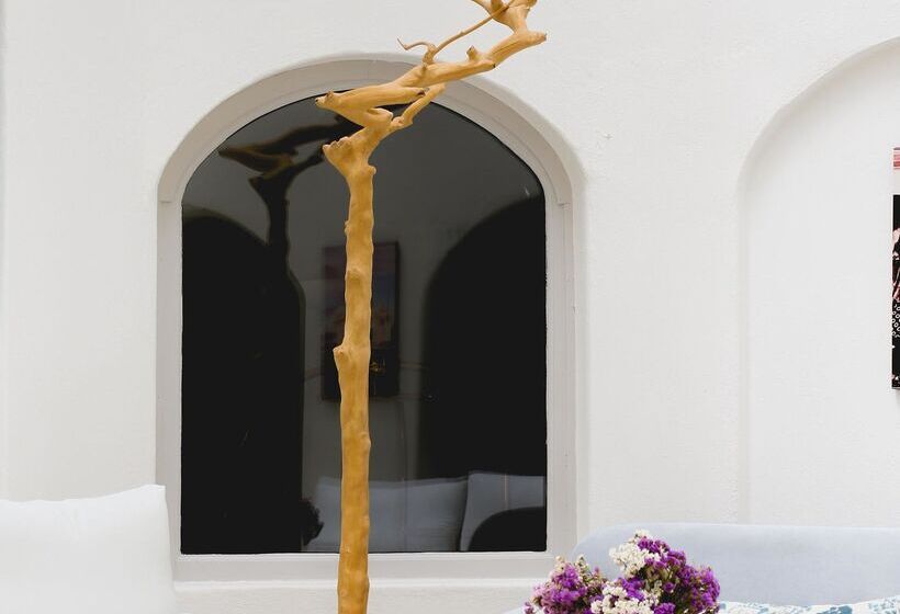 هتل Tharroe Of Mykonos Boutique