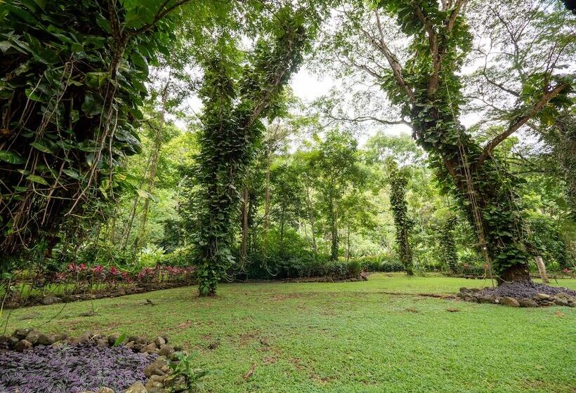בית מלון כפרי Villa Lapas Jungle Village