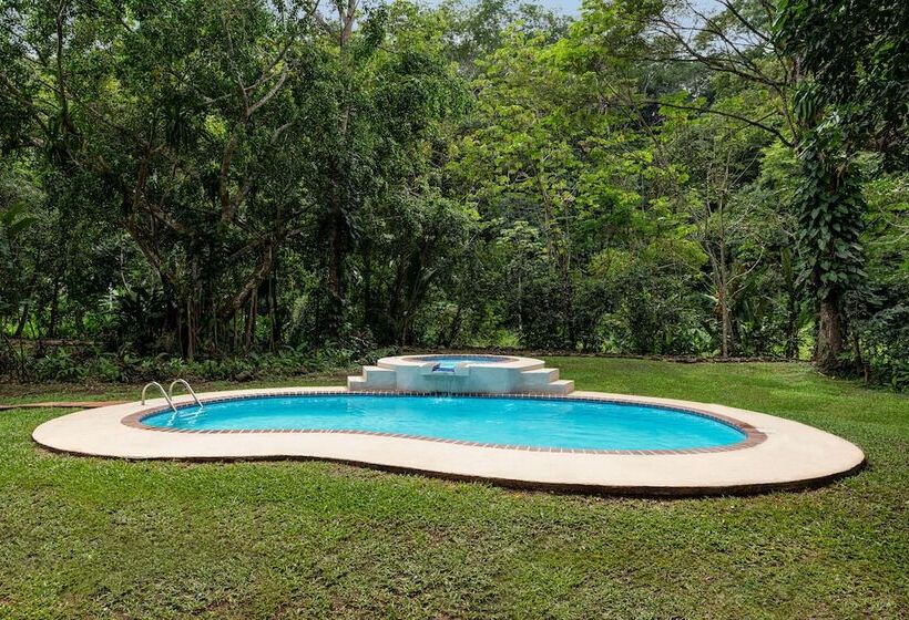 호텔 Villa Lapas Jungle Village