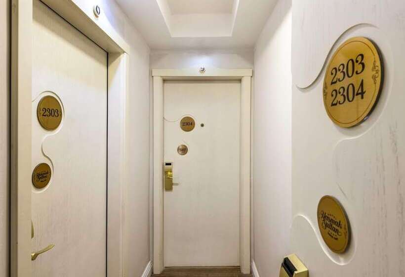 Fotos del hotel Yasmak Sultan:  34