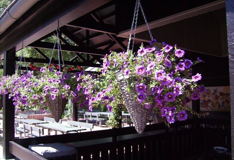 Ribe Byferie Resort
