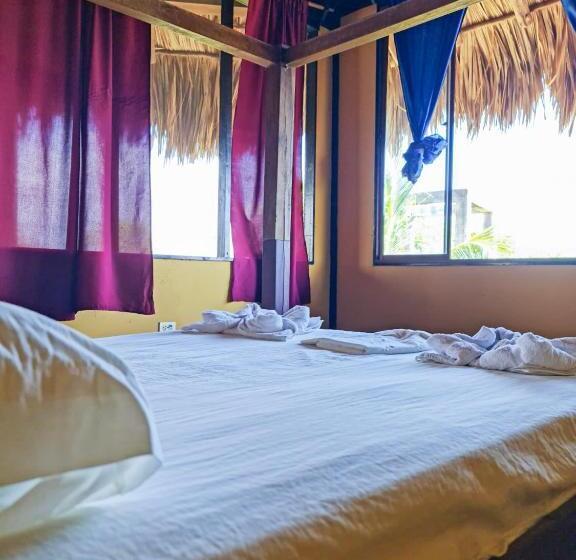هاستل Surfing Turtle Lodge