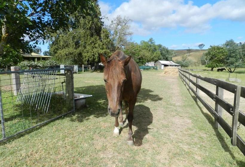 酒店 Glenfield Cottage