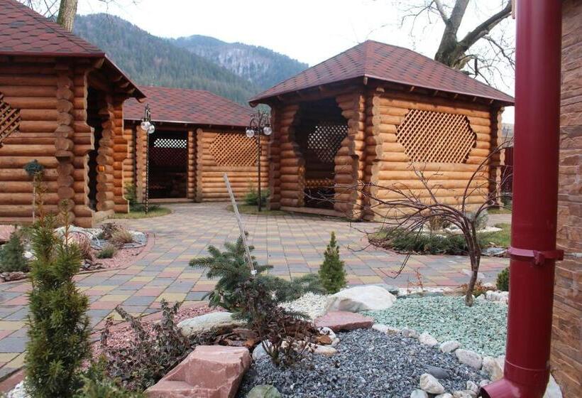 ホテル Gostyniy Dvir Synevir