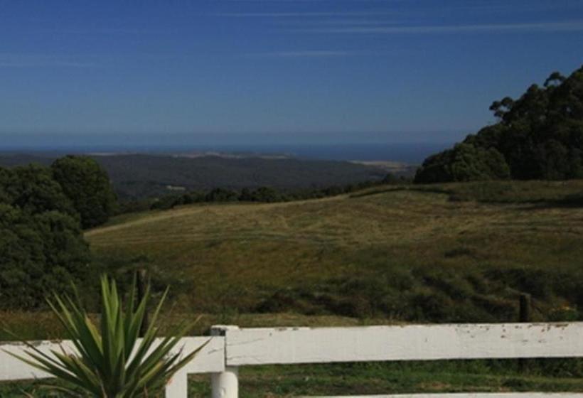 モーテル Otway Junction Motor Inn